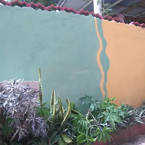 Cocoa Скарборо